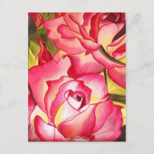 Postal Hannah Gordon arte de la flor rosa rosa rosa