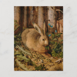 Postal Hans Hoffmann A Hare In The Forest