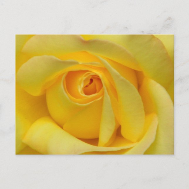 Postal Happiness_ (Anverso)