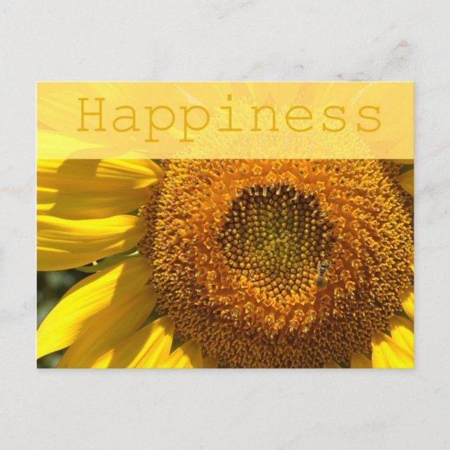 Postal Happiness Sunflower Post Card (Anverso)