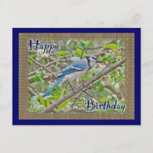 Postal Happy Birday Blue Jay