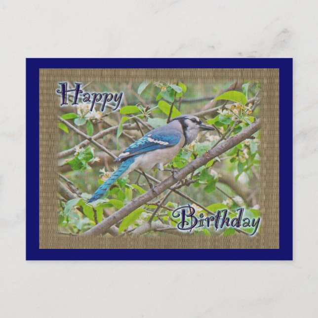 Postal Happy Birday Blue Jay (Anverso)