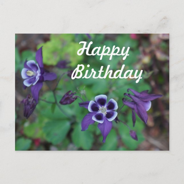 Postal Happy Birday Purple Columbine Flowcard (Anverso)