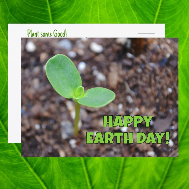 Postal Happy Earth Day Seedling New Growth Photography (Subido por el creador)