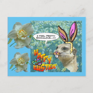 Postal Happy Easter Meerkat Daffodils Postcard