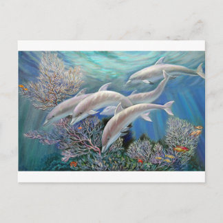 Postal Happy_Family_-_Dolphins_Are_Awesome.JPG
