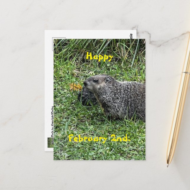 Postal Happy February 2nd Custom Groundhog Postcards (Anverso/Reverso In Situ)