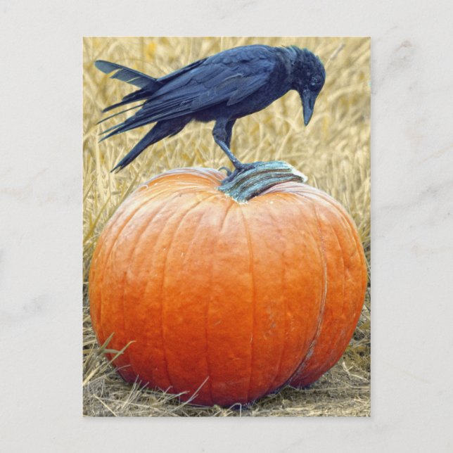 POSTAL HAPPY HALLOWEEN (Anverso)