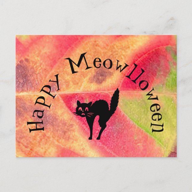 Postal Happy Halloween Cat Meow Postcard (Anverso)