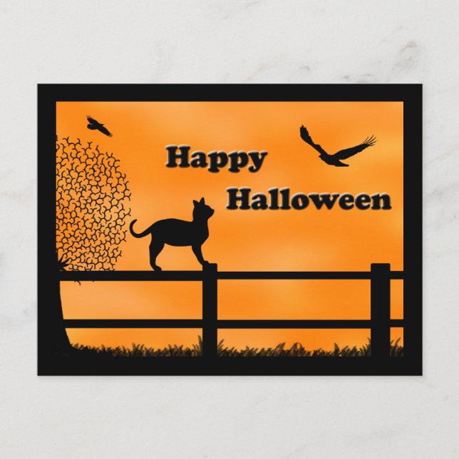 Postal Happy Halloween Cat Post Card (Anverso)