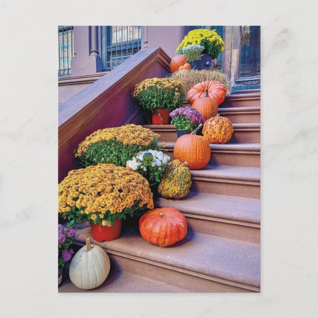 Postal Happy Halloween Pumpkin Stairs New York Postcard (Anverso)