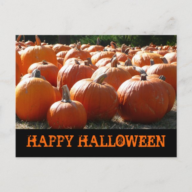Postal Happy Halloween Pumpkins Card (Anverso)