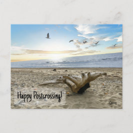 Postal Happy Postcross Beach - Postcard
