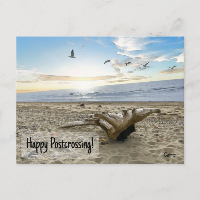 Postal Happy Postcross Beach - Postcard (Anverso)