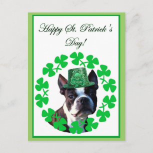 Postal Happy st. Patrick's day boston terrier postcard
