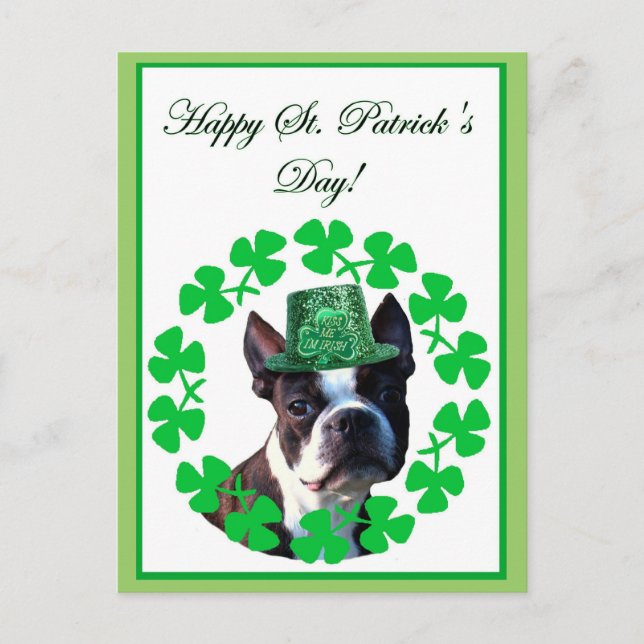 Postal Happy st. Patrick's day boston terrier postcard (Anverso)
