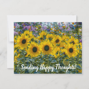 Postal Happy Sunflowers Happy Thoughts Postcard