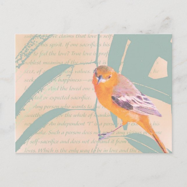 POSTAL HARBINGER DE LA PRIMAVERA (Anverso)