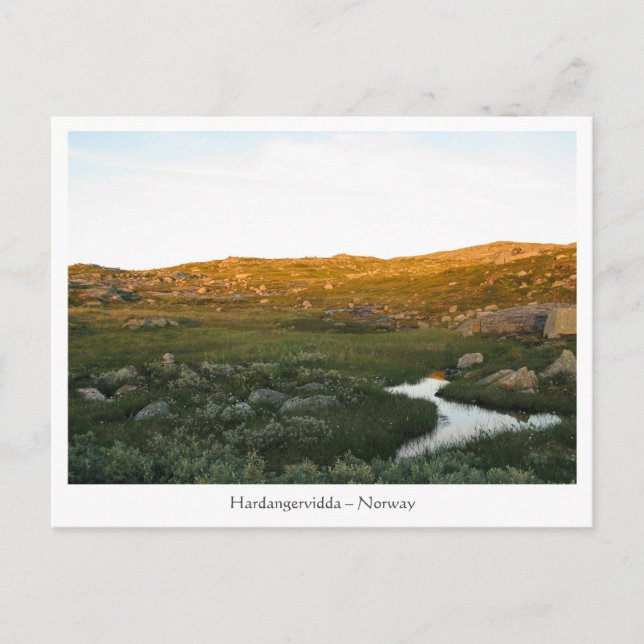 Postal Hardangervidda Noruega (Anverso)