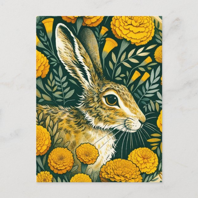Postal Hare Marigold (Anverso)