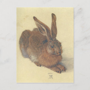 Postal Hare por Albrecht Durer