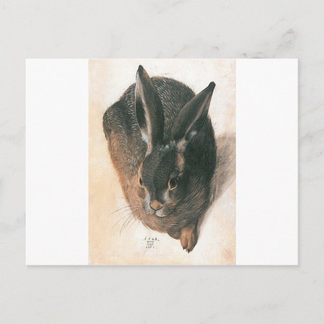 Postal Hare por Albrecht Durer (Anverso)