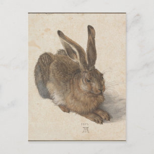 Postal Hare por Albrecht Durer