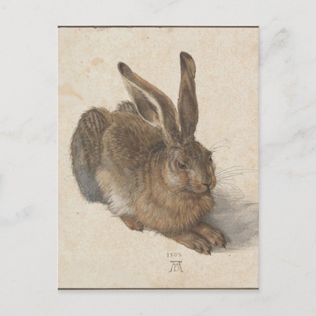 Postal Hare por Albrecht Durer (Anverso)