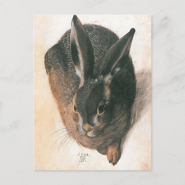 Postal Hare por Albrecht Durer (Anverso)