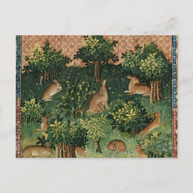Postal Hares en una madera (Anverso)