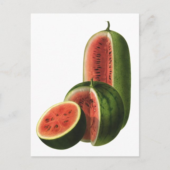 Postal Harinas Vintage redondeadas, fruta orgánica (Anverso)