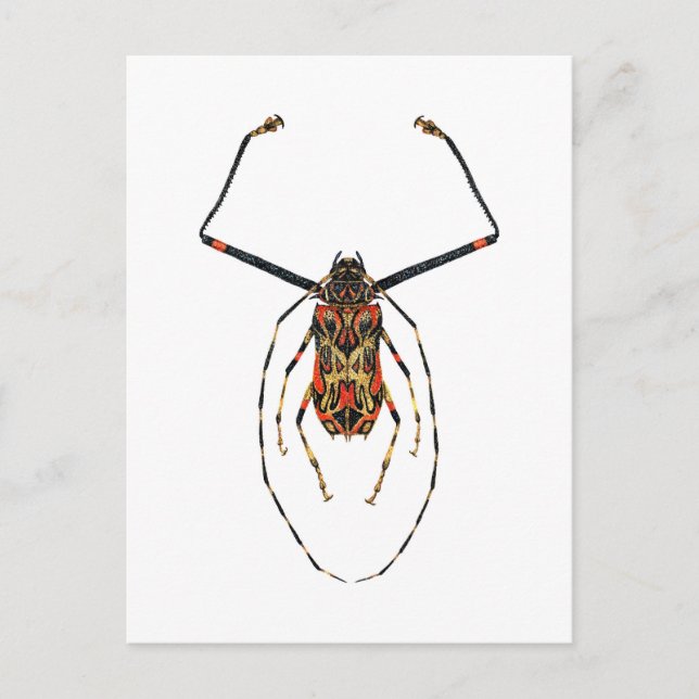 Postal Harlequin Beetle (Anverso)