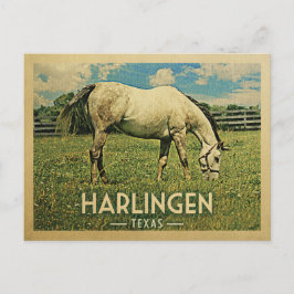 Postal Harlingen Texas Horse Farm - Viajes de época