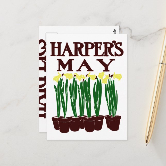 Postal Harper's 1899 Edward Penfield Daffodils (Anverso/Reverso In Situ)