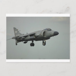 Postal Harrier