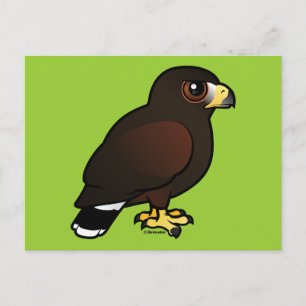 Postal Harris Hawk