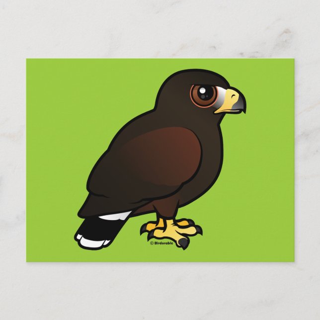 Postal Harris Hawk (Anverso)
