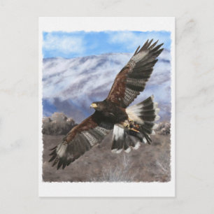 Postal Harris Hawk - pastel