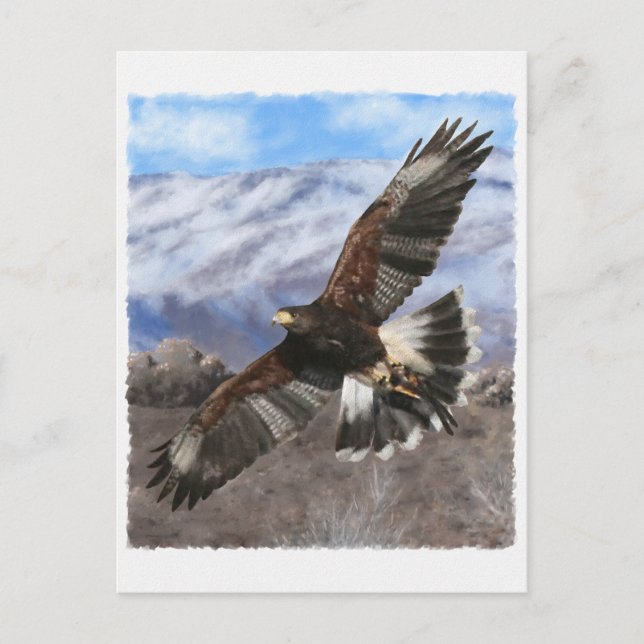 Postal Harris Hawk - pastel (Anverso)