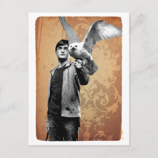 Postal Harry Potter 12