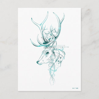 Postal Harry Potter | Aguamenti EXPECTO PATRONUM™ Ciervo