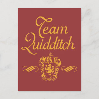 Postal Harry Potter | Team QUIDDITCH™