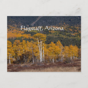 Postal Hart Prairie Flagstaff, Arizona