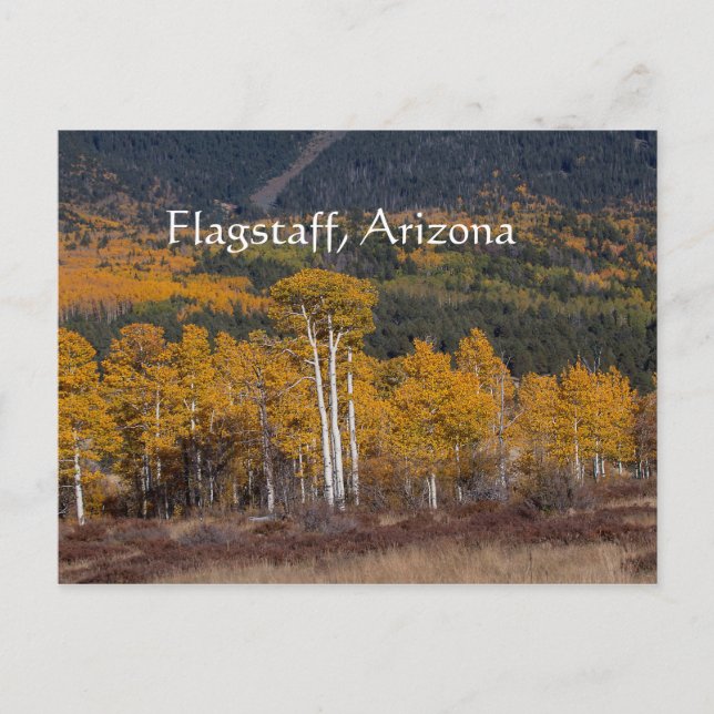 Postal Hart Prairie Flagstaff, Arizona (Anverso)