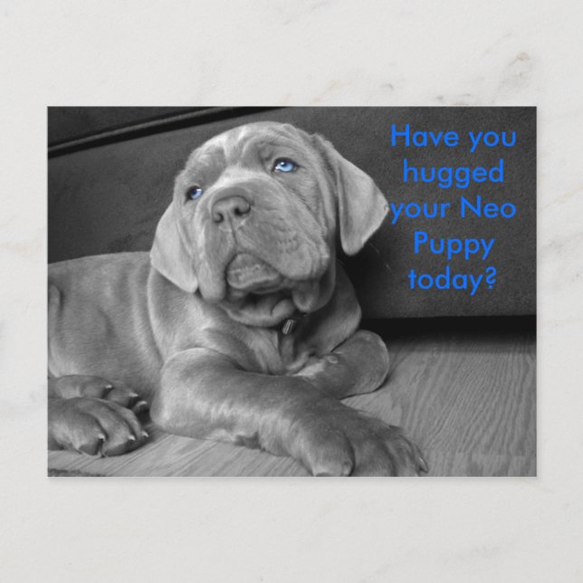 Postal ¿Has abrazado a tu Neo Puppy hoy? (Anverso)