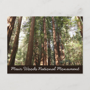 Postal Hasta Redwoods II en el Monumento Nacional Muir Wo