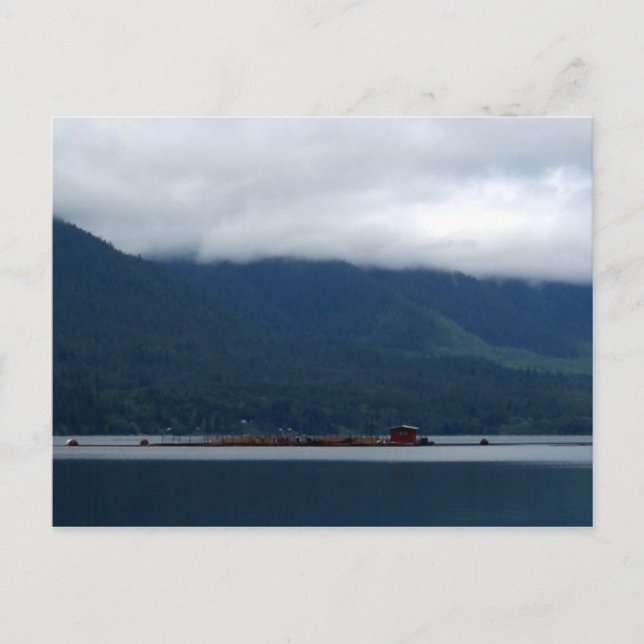 Postal Hatchery (Anverso)