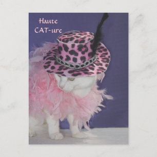Postal Haute CAT-ure