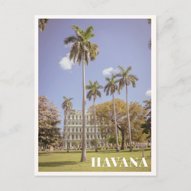 Postal Havana Cuba Green Palm Trees & Architecture (Anverso)