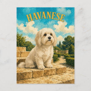 Postal Havanés, Arte de Perro con Acuarela Vintage